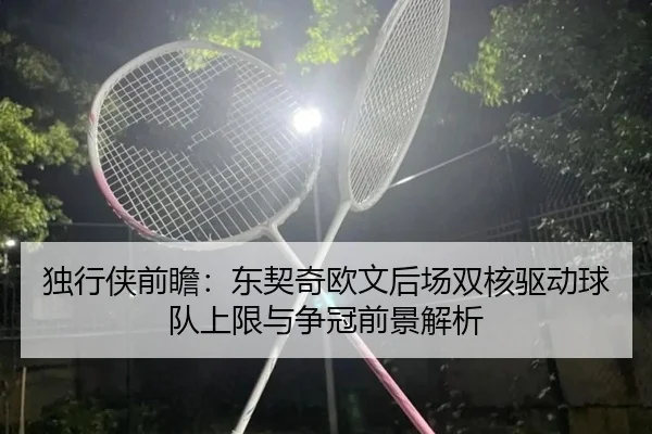 独行侠前瞻：东契奇欧文后场双核驱动球队上限与争冠前景解析